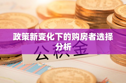 会宁政策新变化下的购房者选择分析
